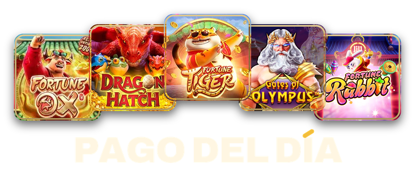 Pago del Día